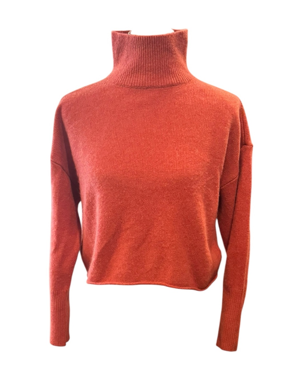 Aritzia Rust-Orange Turtleneck Sweater